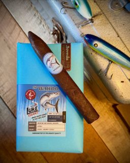 “The WAHOO” Coming soon to a tackle box near you… a PCA 2026 Exclusive, first come first serve to our retail partners that order at/during the PCA trade show. Book your appointment to (re)stock up on Lure. 

“The WAHOO” Ono is a 6x52 box press torpedo, and the Kingfish is 6.5x52 parejo torpedo wrapped in a toothy San Andres Maduro. This blend features lots of leather, dark cocoa, and cedar flavors and a little pepper that hits your palate. 

Catch them before they’re gone, limited supply… 🔥🎣💨

#lurecigars #PCA2026 #cigars #exclusive #limited