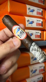 I🧡OSCURO! Catch the latest restock of the @lurecigars Oscuro in both “The Big Joe” 6x52 toro and “The Lil’ Joe” 5x52 robusto.

Dark roast coffee, leather and cocoa with a hint of orange 🍊 on the finish.

#lurecigars #cigar #oscuro #joe #backinstock